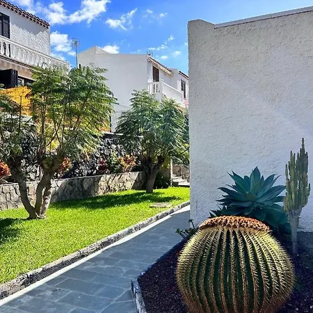 Virginia פלאייה דה לאס אמריקס